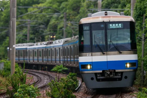 新緑の中を駆ける列車