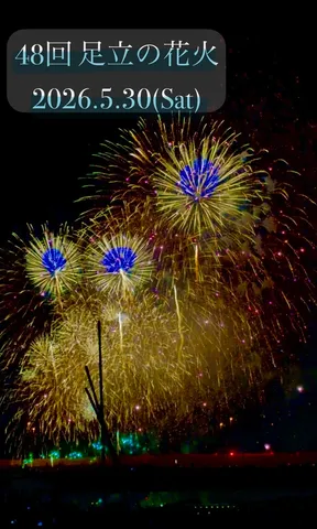夜空に咲く、躍動の花々