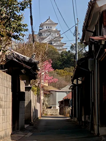 白壁の城と路地の風景