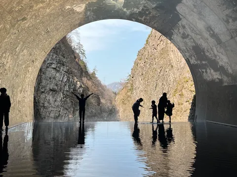 光と影が織りなす幻想的な空間