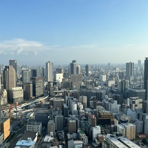 高層ビル群が連なる大都市の眺望