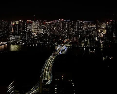 きらめく夜景と橋の曲線美