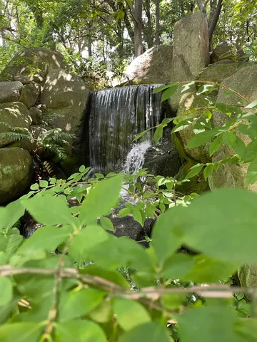 樹影の落ちる小さな滝