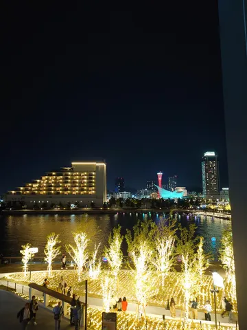 煌めく水辺の夜景