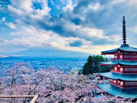 桜と五重塔、富士の春景