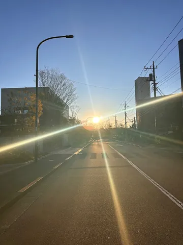 まばゆい光の道のり