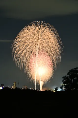 夜空に開く金色の花