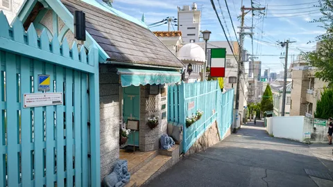 青い fences とイタリアンカラー