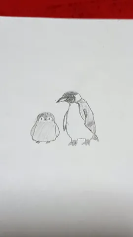 ペンギンの親子？