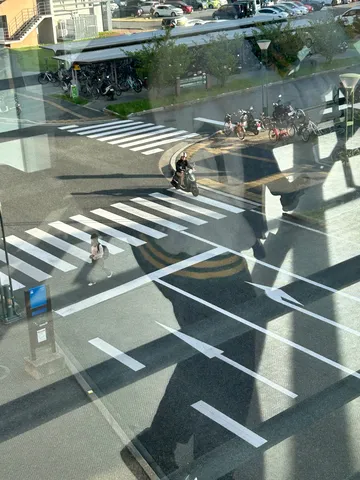 反射する日常、横断歩道の視線