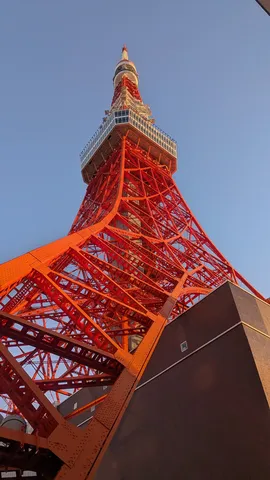 空を貫く真紅の骨格