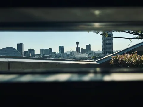 フレーム越しの都市眺望