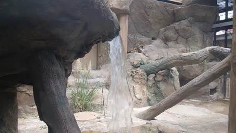 滝と岩肌に潜む静けさ