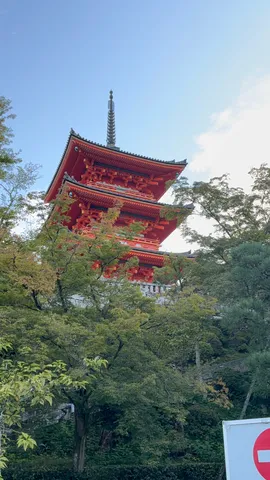 朱色の三重塔と木洩れ日