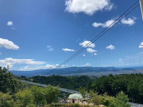 空と緑を結ぶ風景