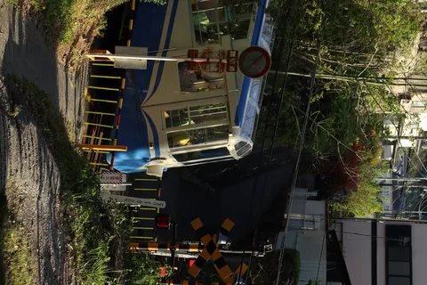 陽光きらめく踏切と車両