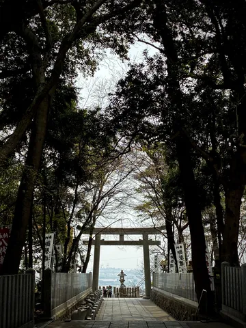 鳥居の向こうに広がる静寂