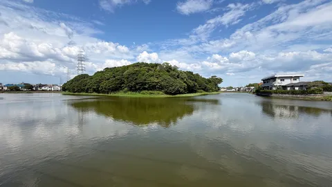 鏡のような水面と緑の島