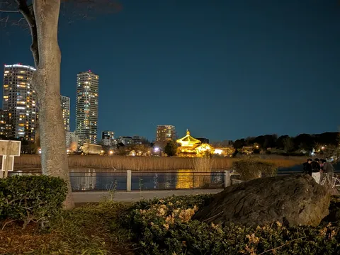 都会の夜景と古都の趣