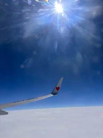空の旅、ハートの翼