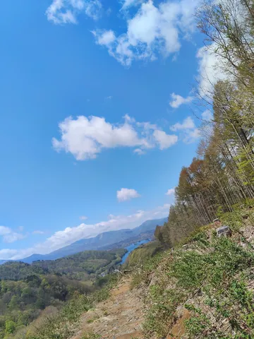 新緑と青空のパノラマ