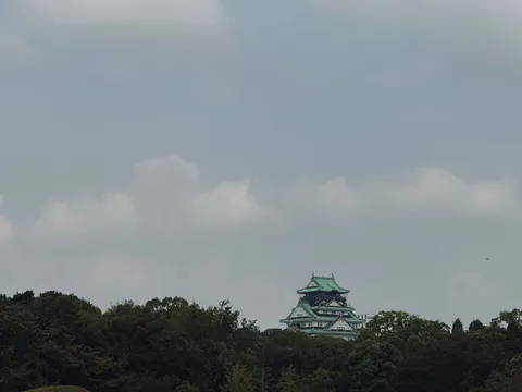 緑の屋根が空に映える古城