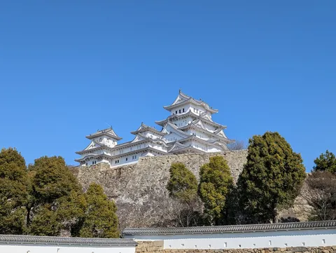 天を仰ぐ白鷺の城