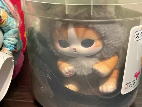 眠り猫の秘密基地