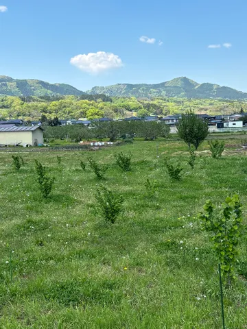 新緑の風吹く里山