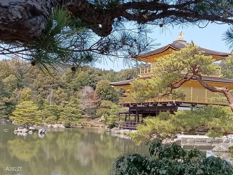 水面に映える黄金の建物