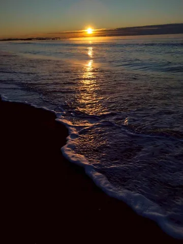 黄金に輝く海の夕暮れ