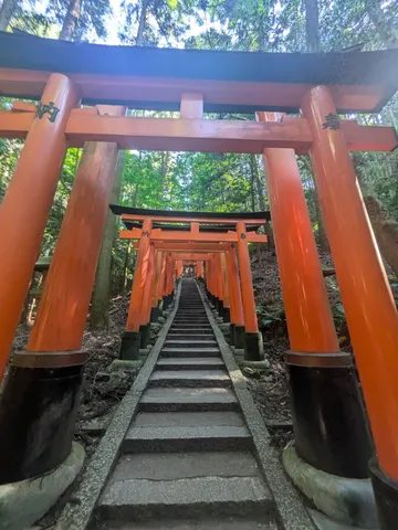 伏見稲荷