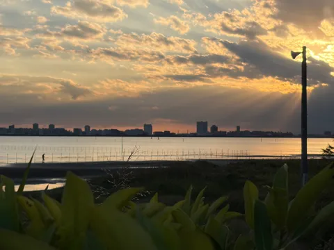 夕暮れの光が縁取る水面