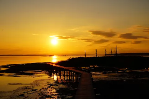 夕陽に沈む、静寂の木道