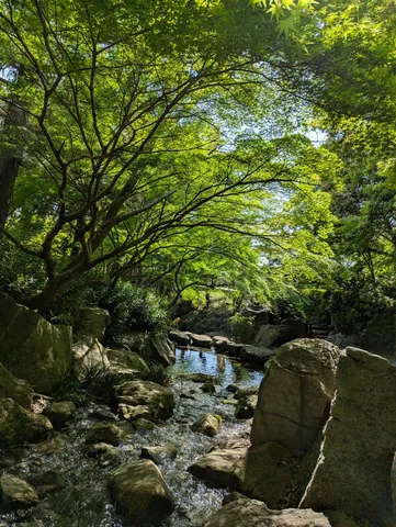 新緑の渓流、岩清水に癒される