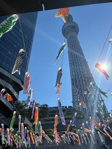 スカイツリーと舞い泳ぐ鯉のぼり