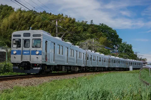 新緑を駆けるシルバーの列車