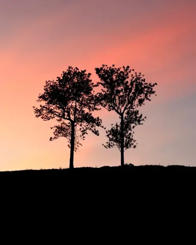 Sun raise