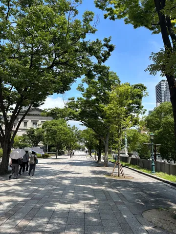 緑陰の歩道、日陰のコントラスト