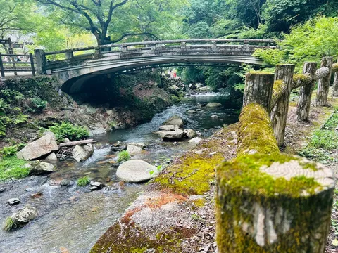 苔むす橋と清流の静寂