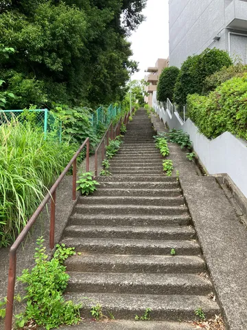 緑に包まれ、続く階段