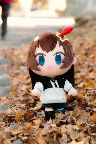 落ち葉と見つめる瞳
