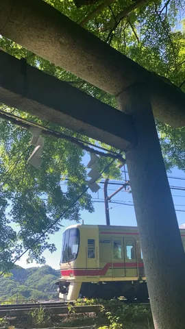 鳥居と電車、新緑のコントラスト