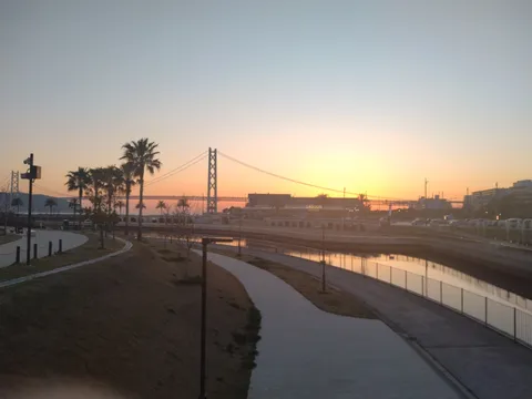 夕暮れの港橋とヤシの木