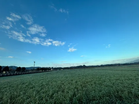 静寂の緑野、空は晴れやかに