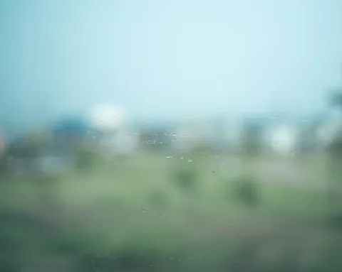 雨粒越しのぼやけた世界