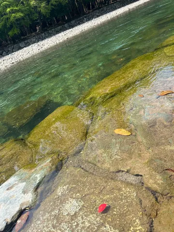 緑と赤、岩と水のコントラスト