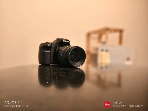 静寂の一瞬、デジタル一眼レフの肖像