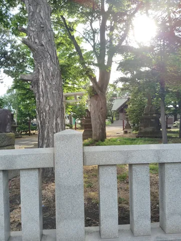 静謐な聖域、木漏れ日の誘い