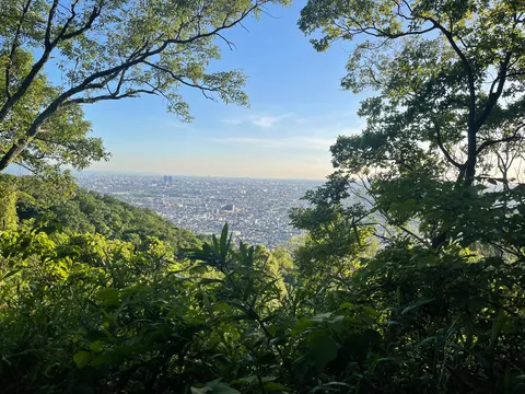 緑に包まれる、街の眺望